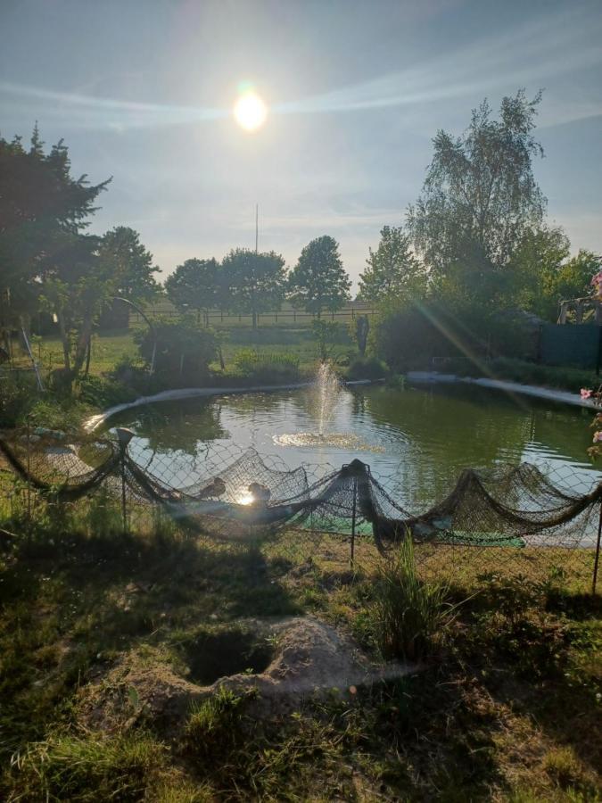 Zimmer Und Apartment Rosi Krakow am See Eksteriør billede