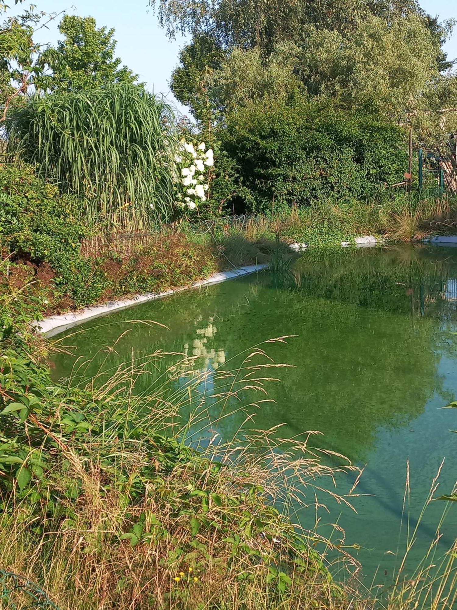 Zimmer Und Apartment Rosi Krakow am See Eksteriør billede